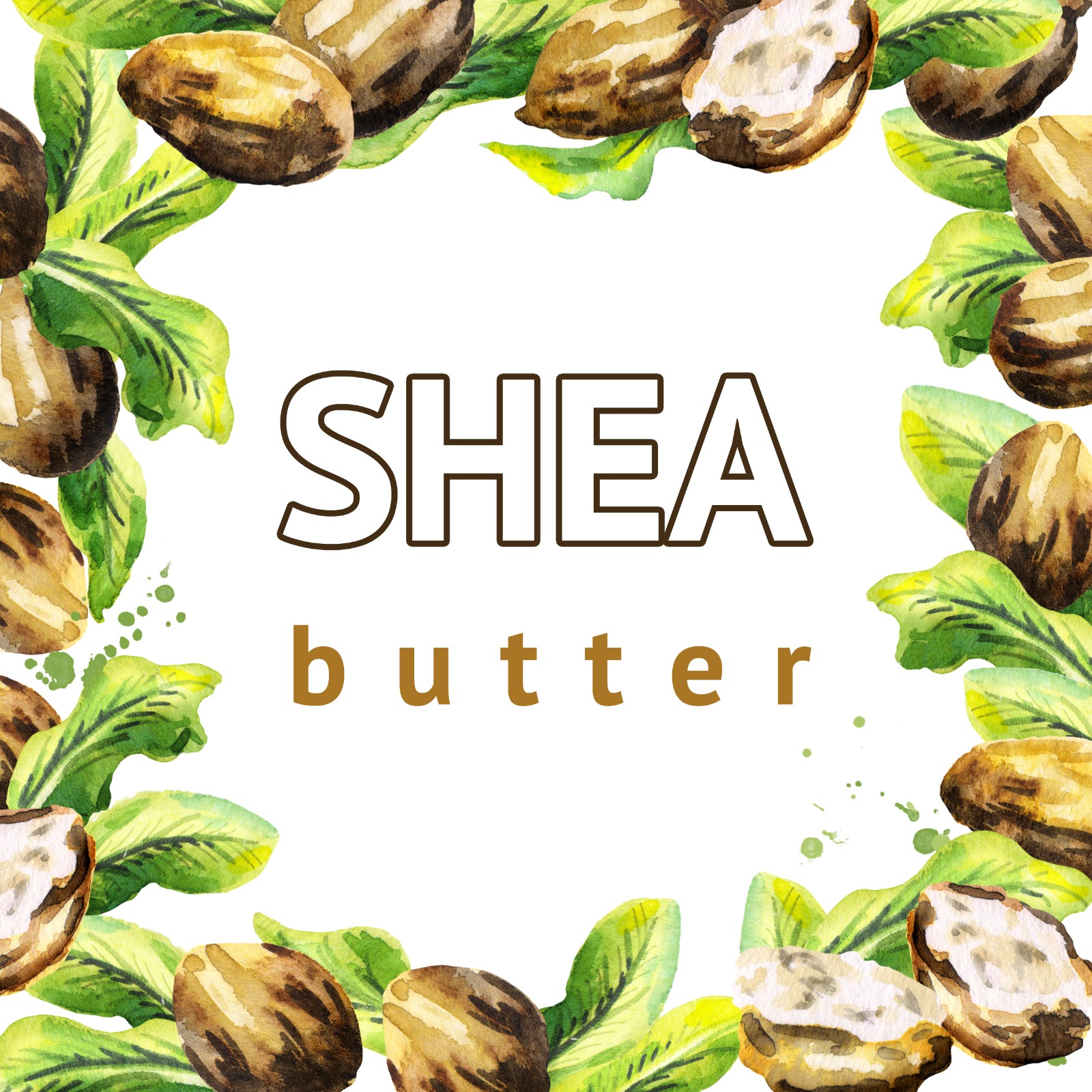 The History of Shea Butter 